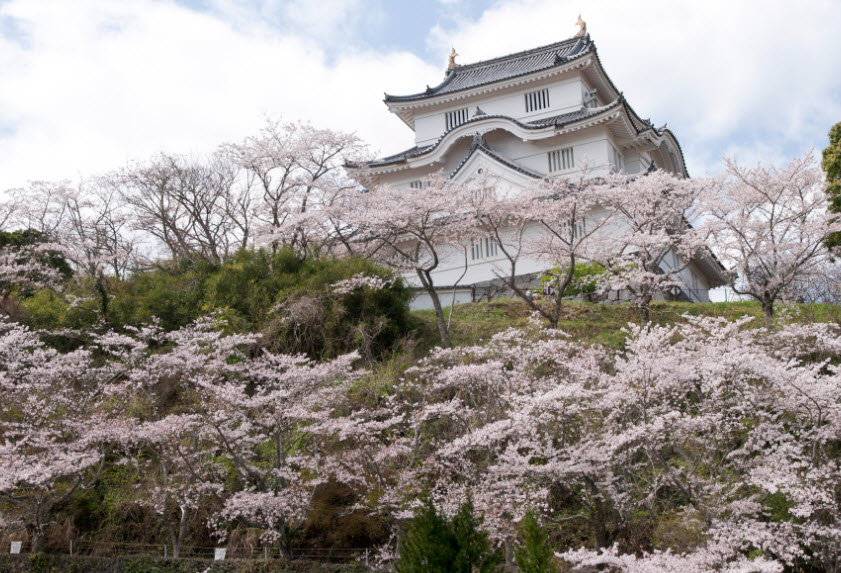 Otaki Castle, Japan